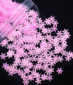 IMG_4889.PNG